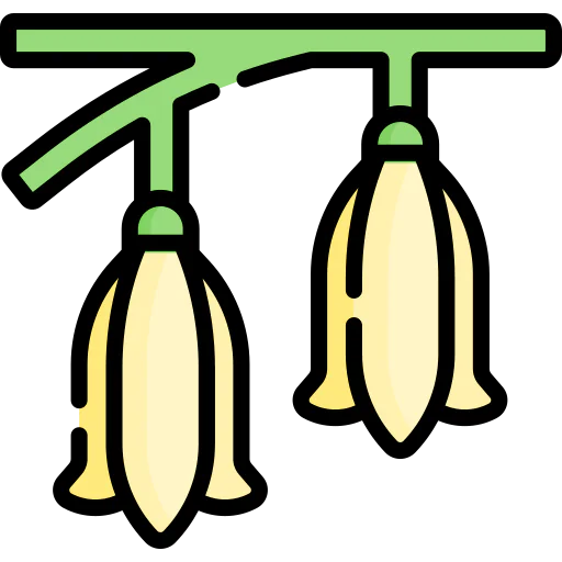 Flower icon