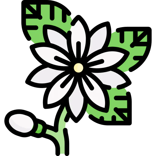 Flower icon