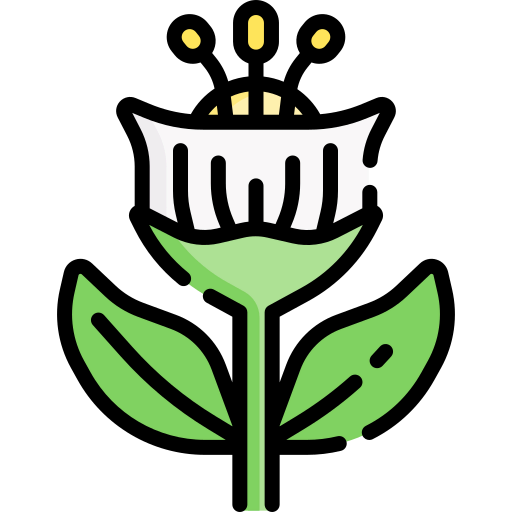 Flower icon