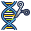 Genetic engineering icon 64x64