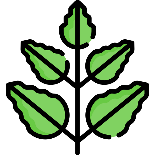 Leaf icon