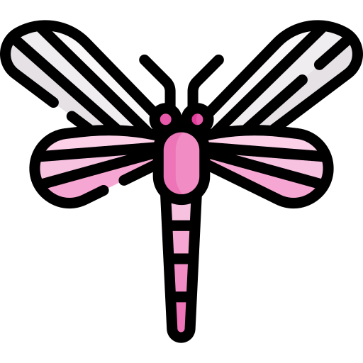 Dragonfly icon