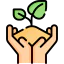 Sprout icon 64x64