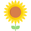 Flower icon 64x64