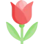 Flower icon 64x64