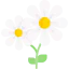 Flower icon 64x64