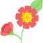 Flower icon 64x64