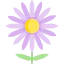 Flower icon 64x64