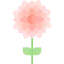 Flower icon 64x64