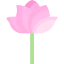 Flower icon 64x64