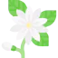 Flower icon 64x64
