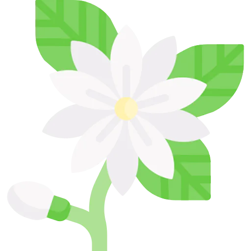 Flower icon