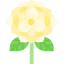Flower icon 64x64