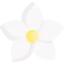Flower icon 64x64