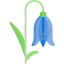 Flower icon 64x64
