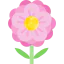 Flower icon 64x64