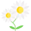 Flower icon 64x64