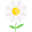 Flower icon 64x64