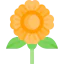 Flower icon 64x64