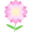 Flower icon 64x64