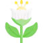 Flower icon 64x64