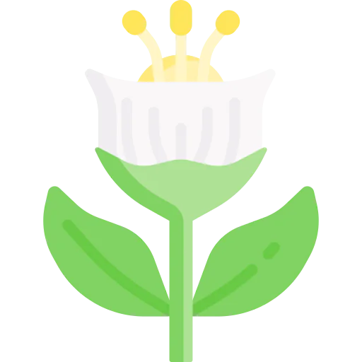 Flower icon