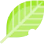 Leaf icon 64x64