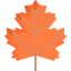 Maple leaf icon 64x64