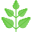 Leaf icon 64x64