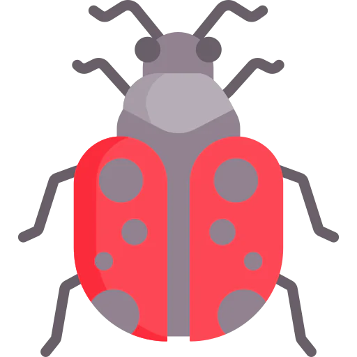 Ladybug icon