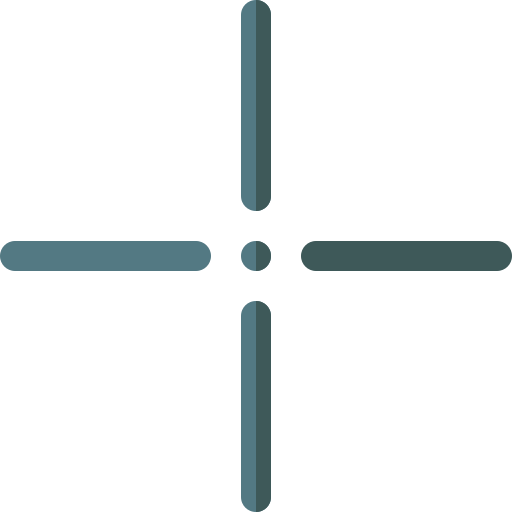 Precision icon