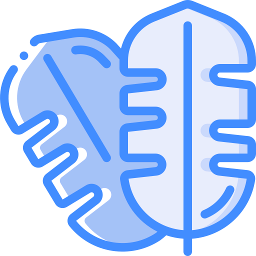 Leaf icon