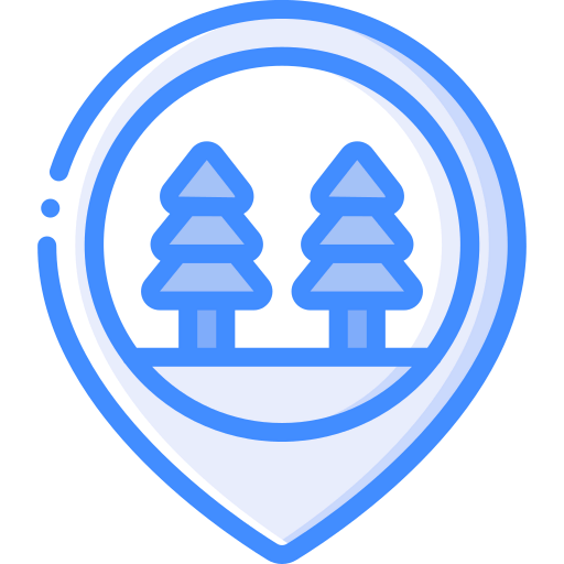 Pin icon