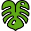 Leaf icon 64x64