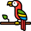 Parrot icon 64x64