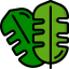 Leaf icon 64x64