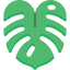 Leaf icon 64x64