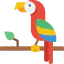 Parrot icon 64x64