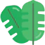 Leaf icon 64x64