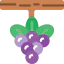 Berries Ikona 64x64