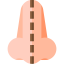 Nose Ikona 64x64