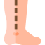 Ankle icon 64x64