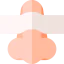 Nose Ikona 64x64