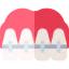 Braces biểu tượng 64x64