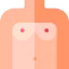 Breast icon 64x64