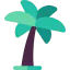Date palm biểu tượng 64x64