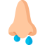 Nose Ikona 64x64