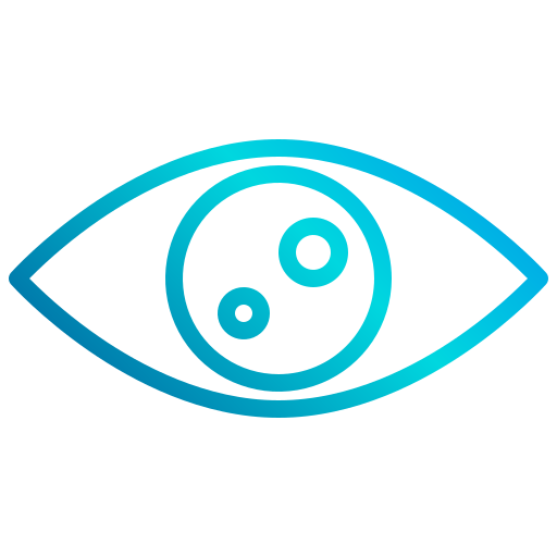 Vision icon