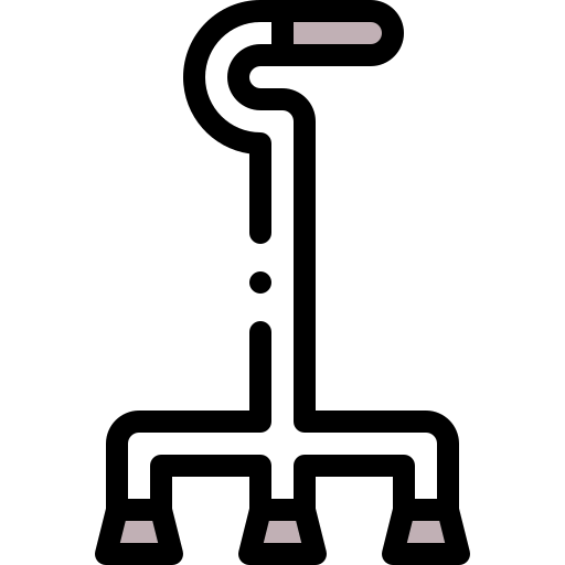 Quad icon