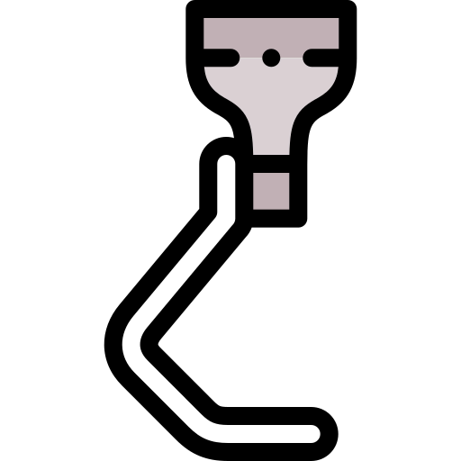 Prosthetic icon